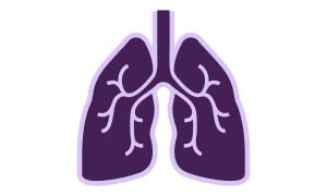 Component 20